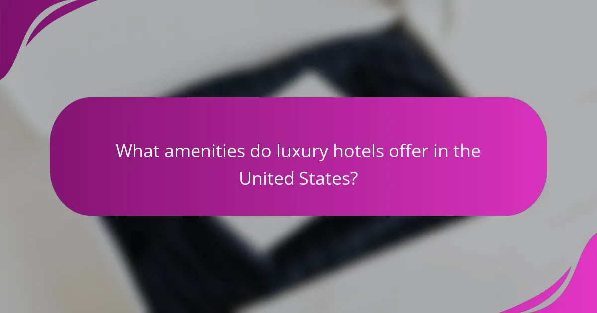 What amenities do luxury hotels offer in the United States?